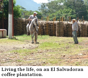 Living the life in El Salvador.
